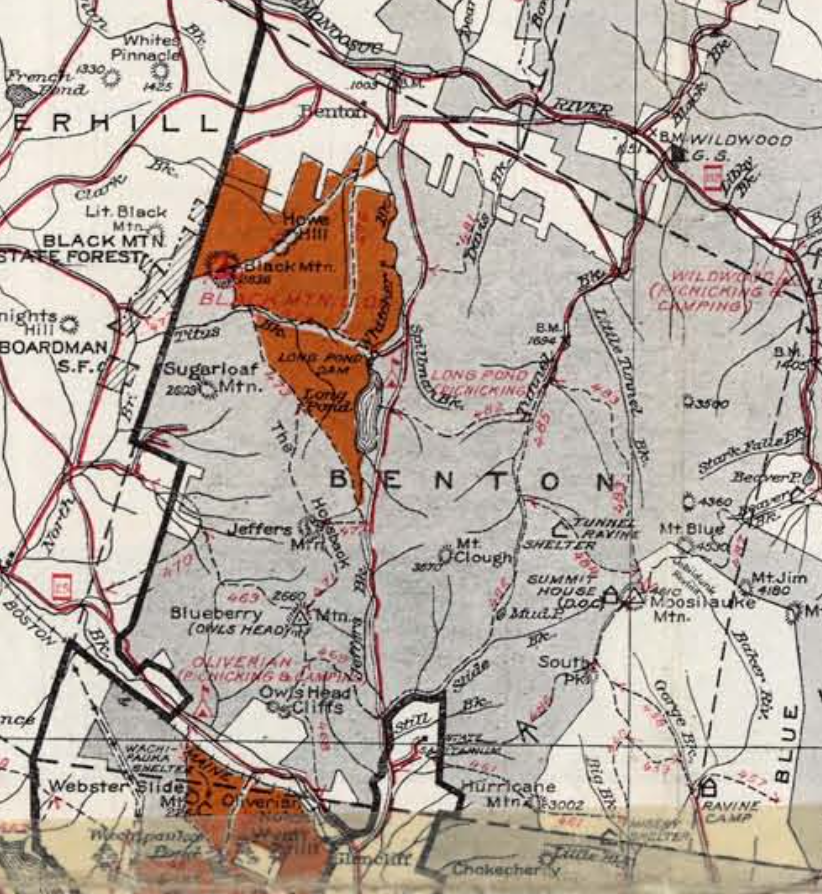 1941
